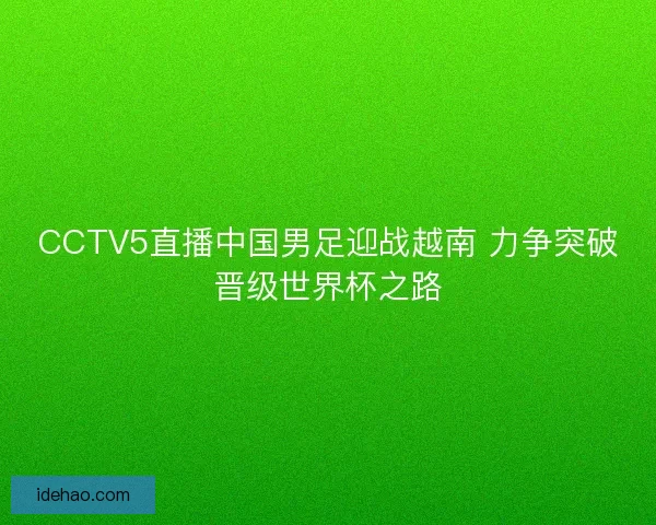 CCTV5直播中国男足迎战越南 力争突破晋级世界杯之路