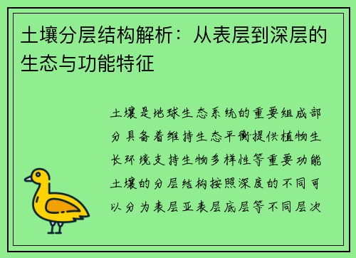 土壤分层结构解析：从表层到深层的生态与功能特征